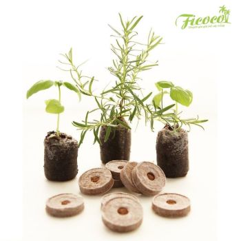 Kiến thức về cây giống