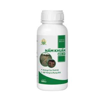 NẤM KHUẨN