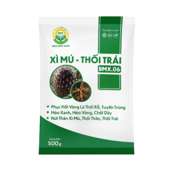 XÌ MỦ - THỐI TRÁI