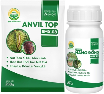 COMBO SUPER NANO ĐỒNG + ANVIL TOP