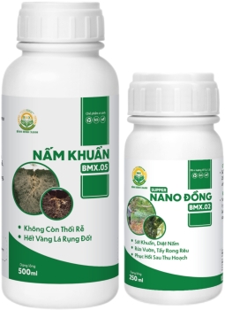 Combo Super nano đồng + Nấm Khuẩn