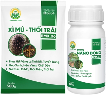 COMBO NANO SUPER ĐỒNG + XÌ MỦ THỐI TRÁI